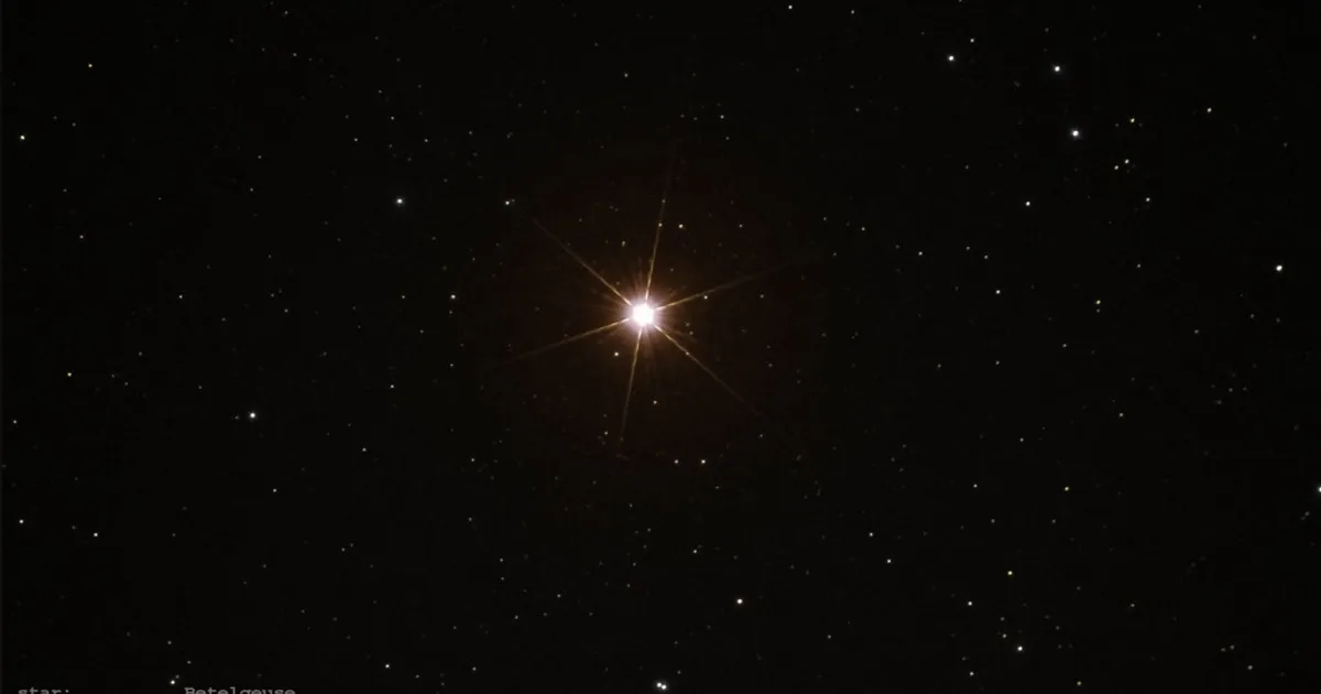 A starry night sky full of constellations over a dark backyard horizon